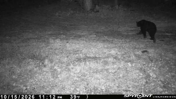 Xyz No Name Road Property Photo 24