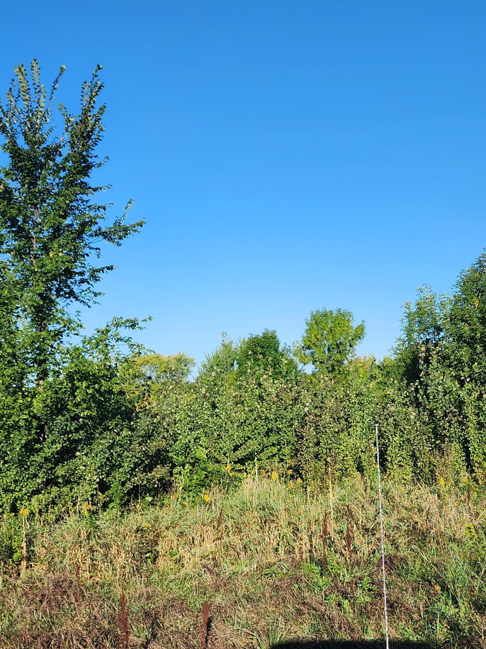 21264 Dorothy Way Property Photo 5