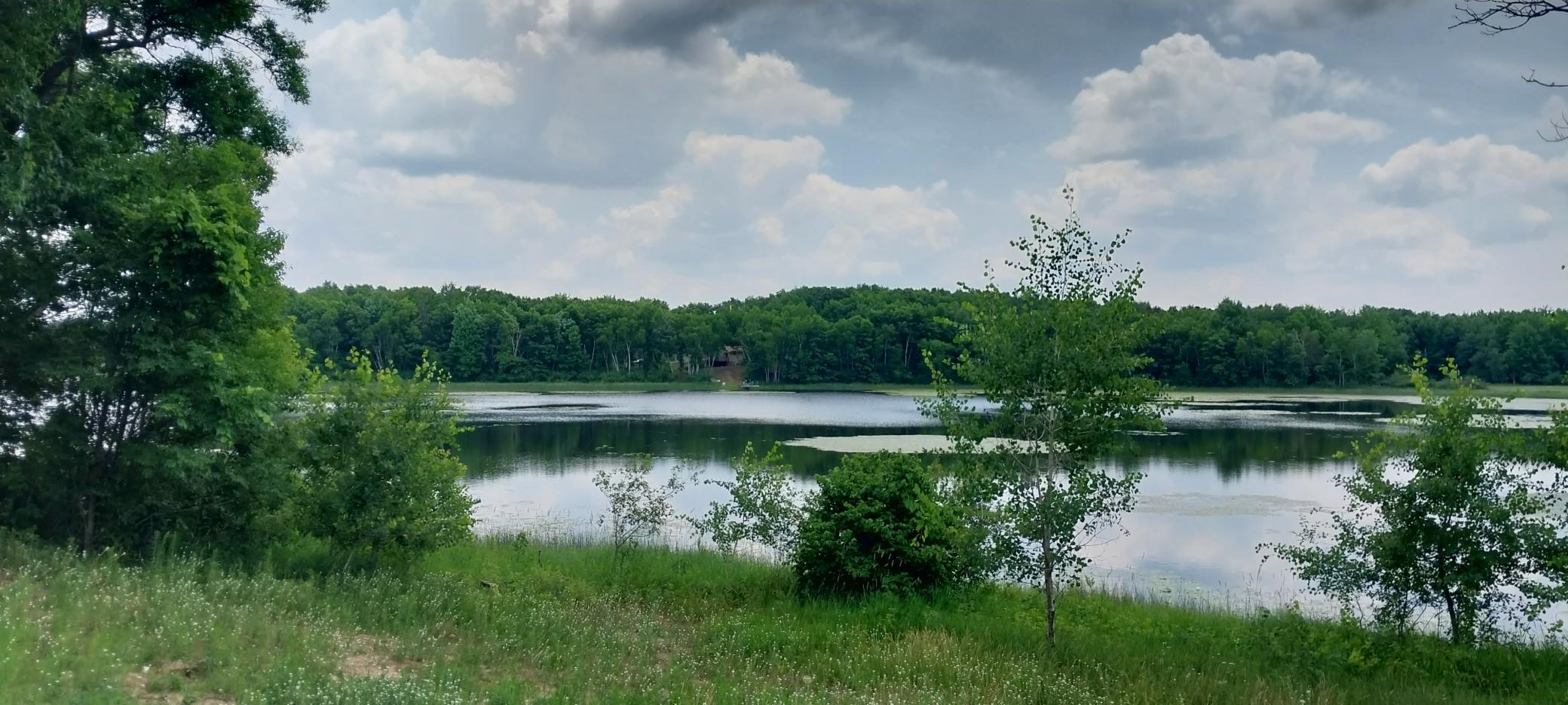 Lot 4 Dahlia Court Property Photo 19