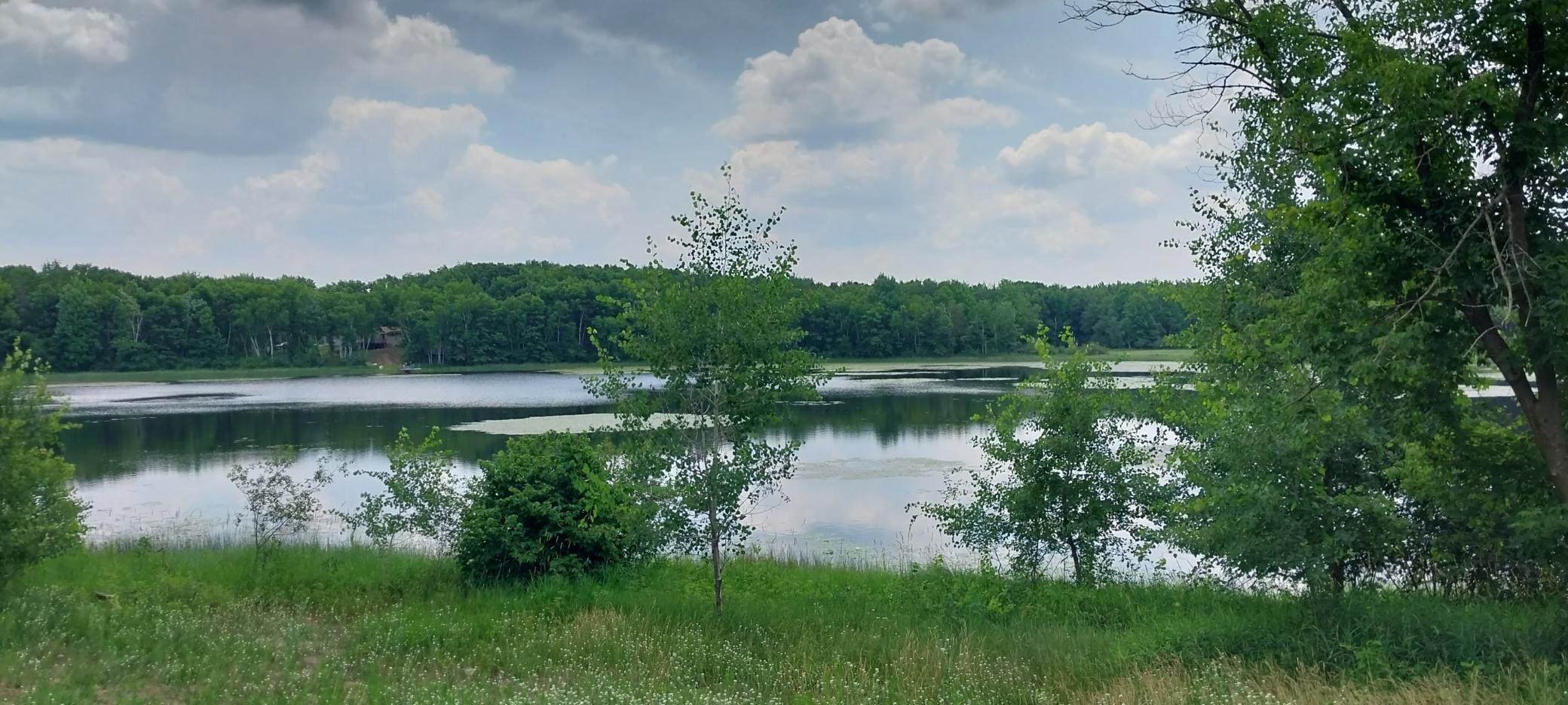 Lot 4 Dahlia Court Property Photo 20