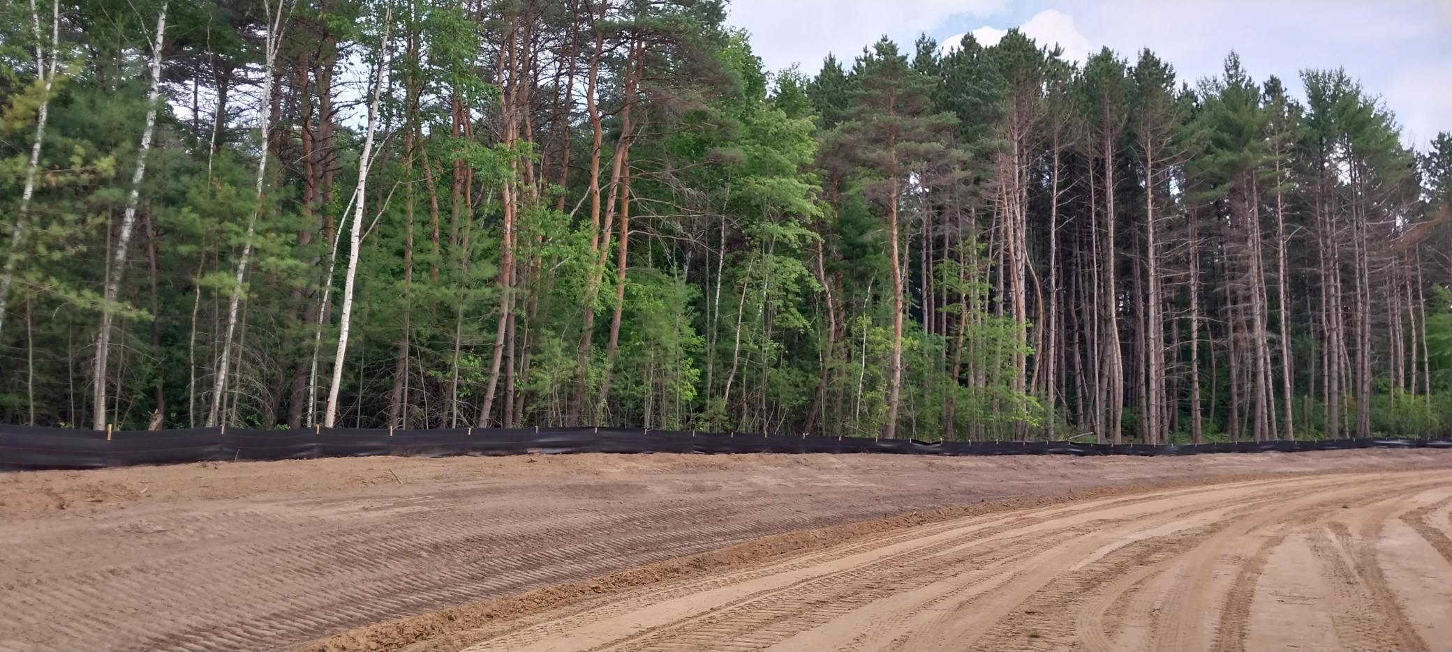 Lot 4 Dahlia Court Property Photo 28