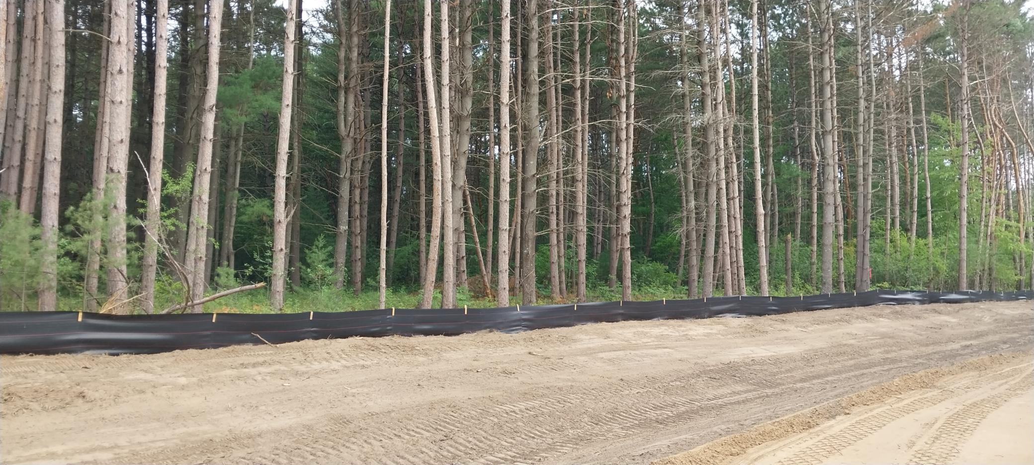 Lot 4 Dahlia Court Property Photo 29