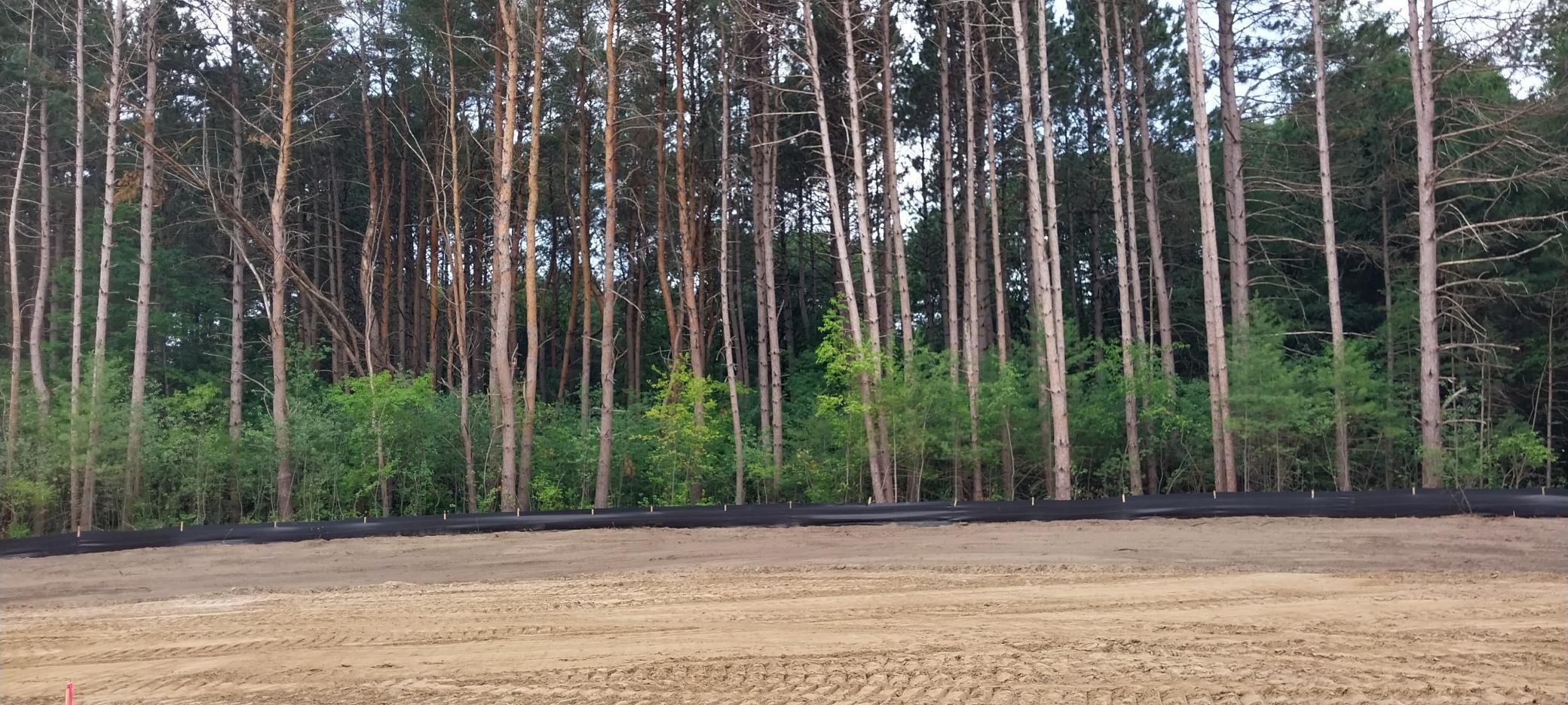 Lot 4 Dahlia Court Property Photo 34