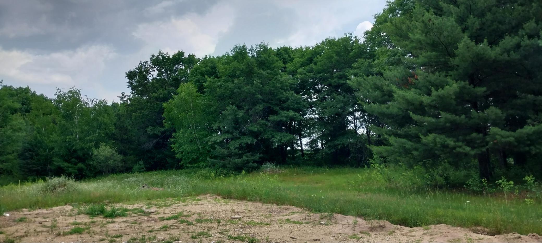 Lot 4 Dahlia Court Property Photo 36
