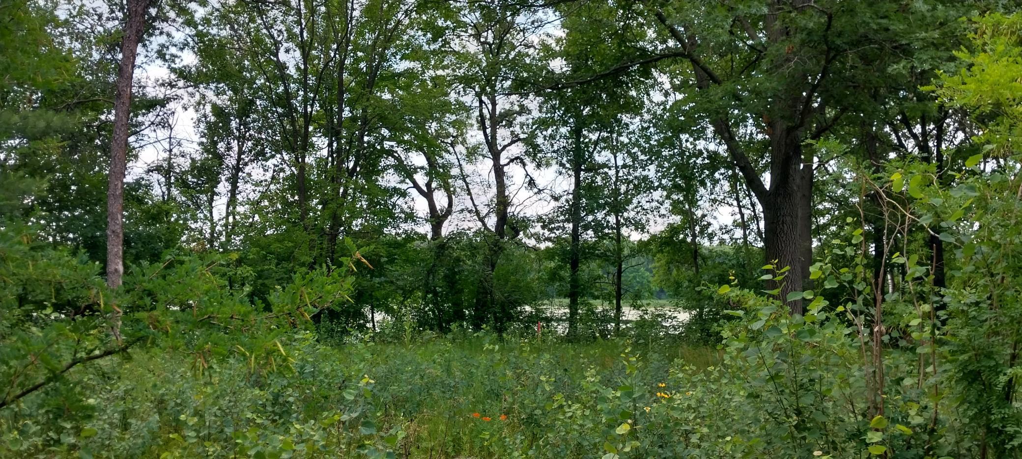 Lot 4 Dahlia Court Property Photo 38