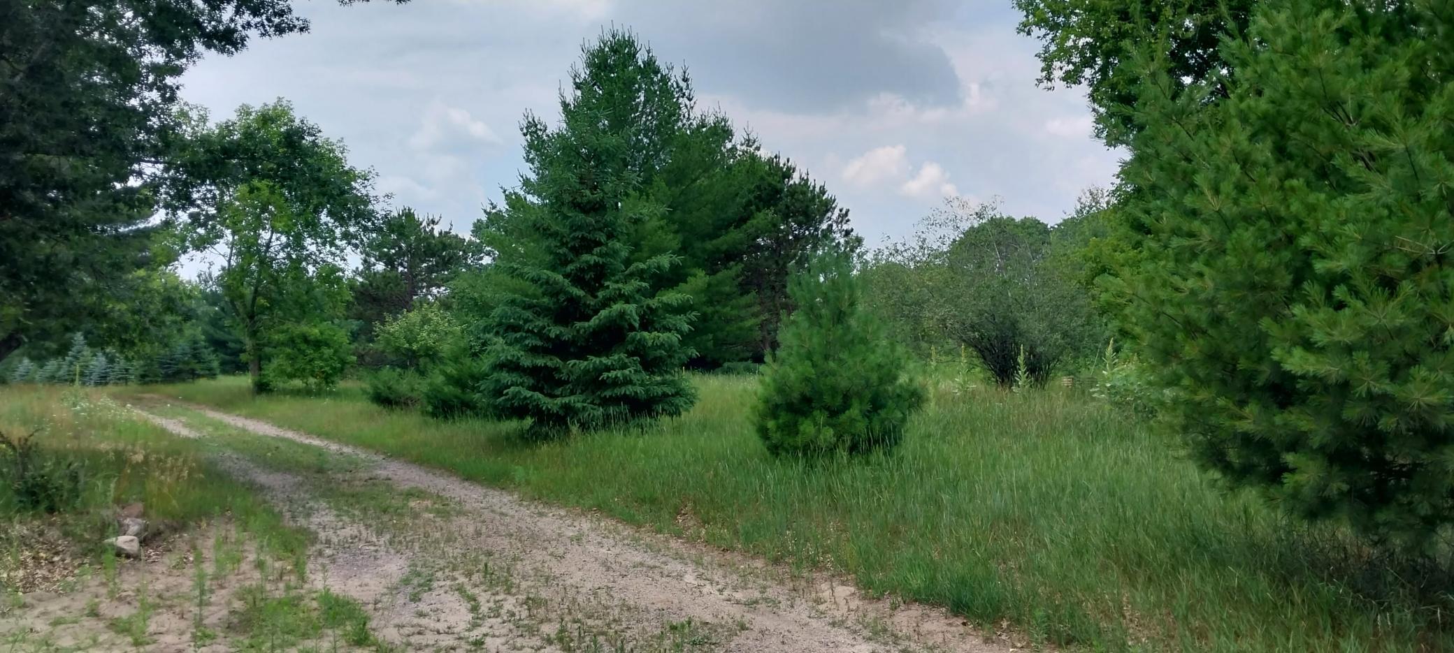 Lot 4 Dahlia Court Property Photo 41