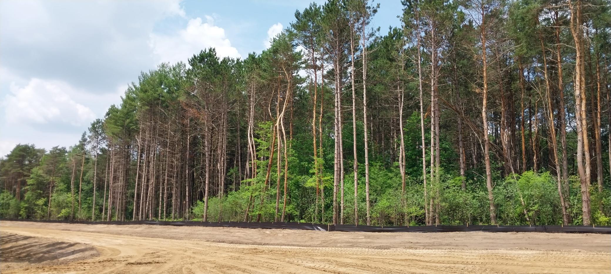 Lot 4 Dahlia Court Property Photo 42