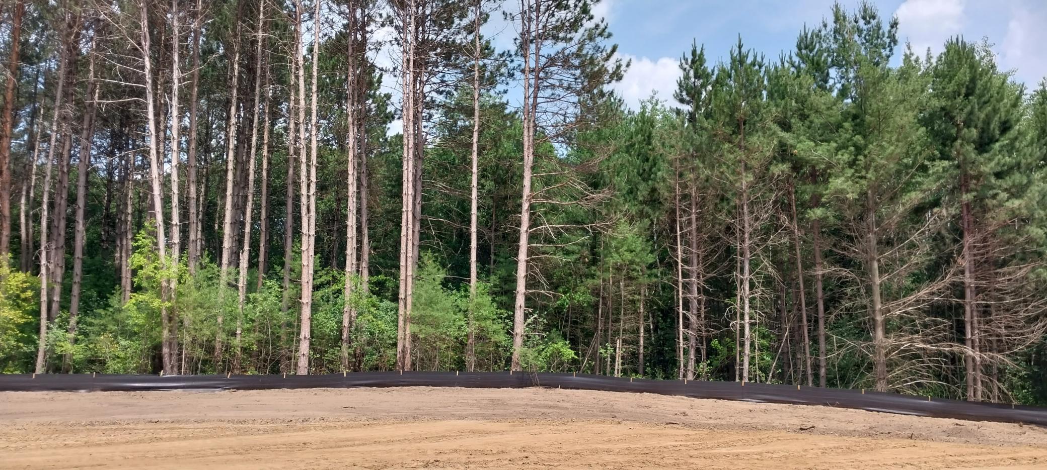 Lot 4 Dahlia Court Property Photo 43