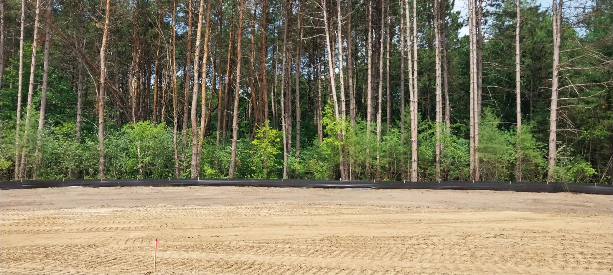 Lot 4 Dahlia Court Property Photo 44