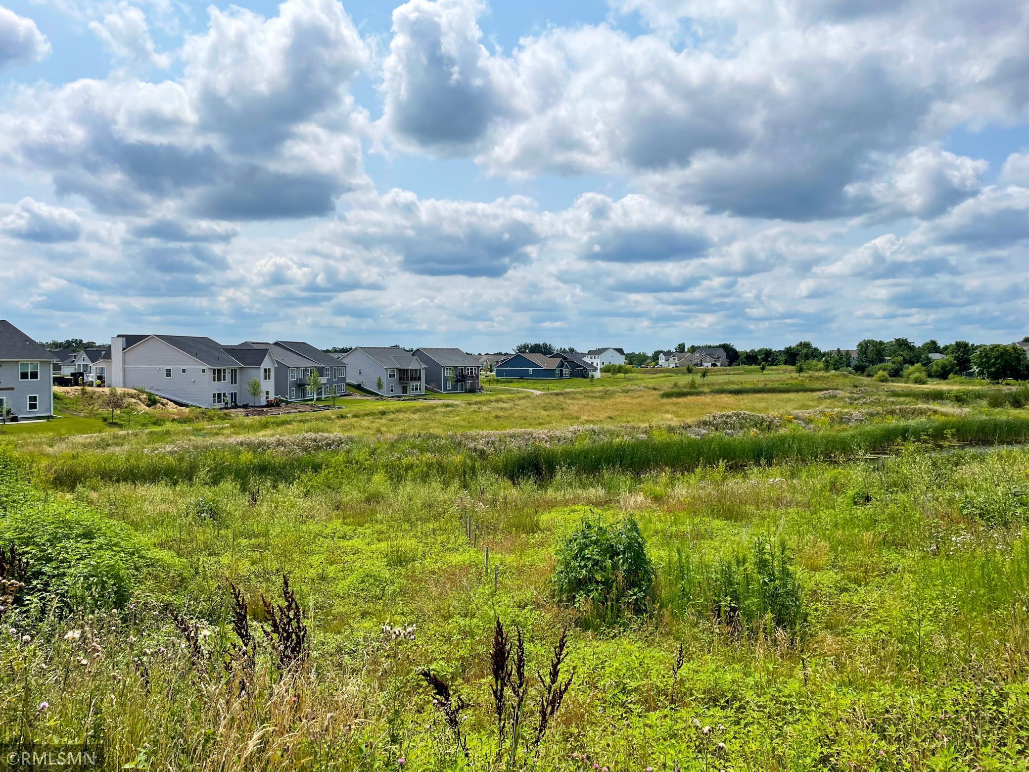 2049 Coneflower Point Property Photo