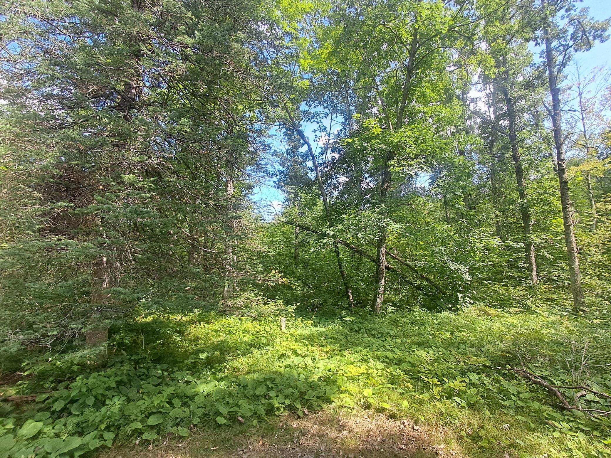 Xxx White Tail Drive Property Photo