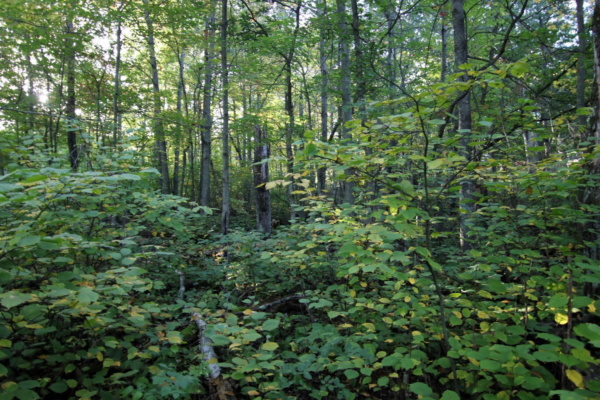 L3 B13 Wb15 Winter Trail Property Photo 1