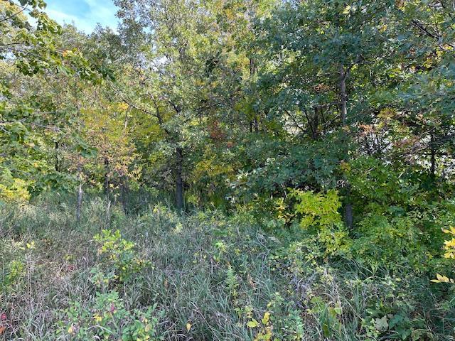 Xxxx Woodsmen Lane Property Photo 3