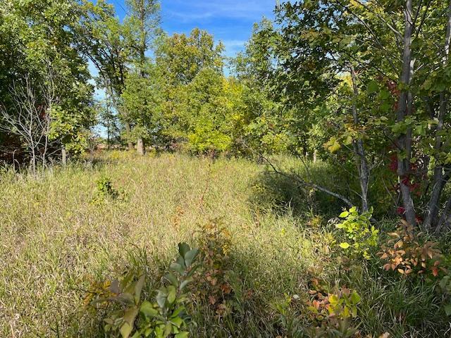 Xxxx Woodsmen Lane Property Photo 4