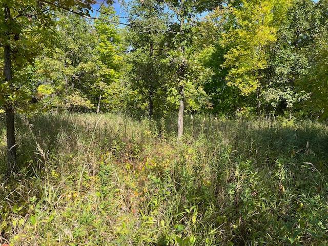 Xxxx Woodsmen Lane Property Photo 6