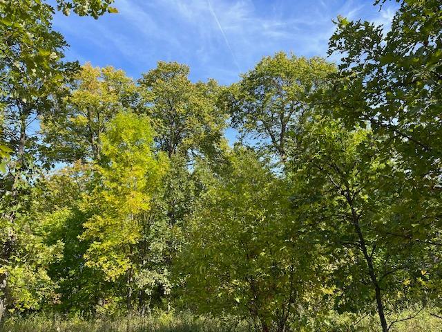 Xxxx Woodsmen Lane Property Photo 7