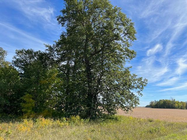 Xxxx Woodsmen Lane Property Photo 8