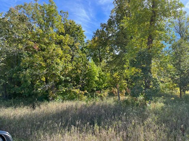 Xxxx Woodsmen Lane Property Photo 10