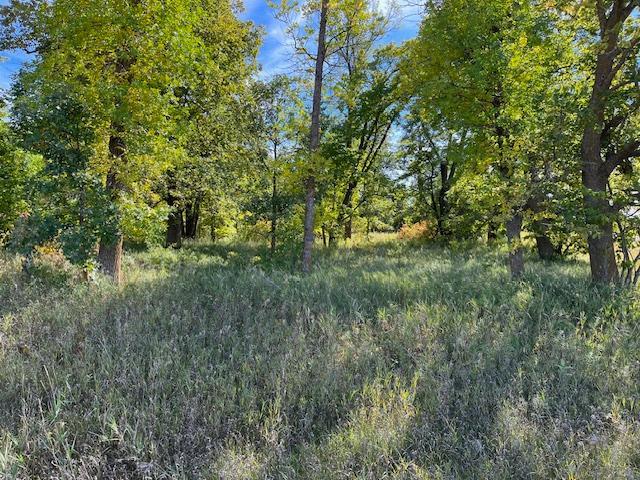 Xxxx Woodsmen Lane Property Photo 11