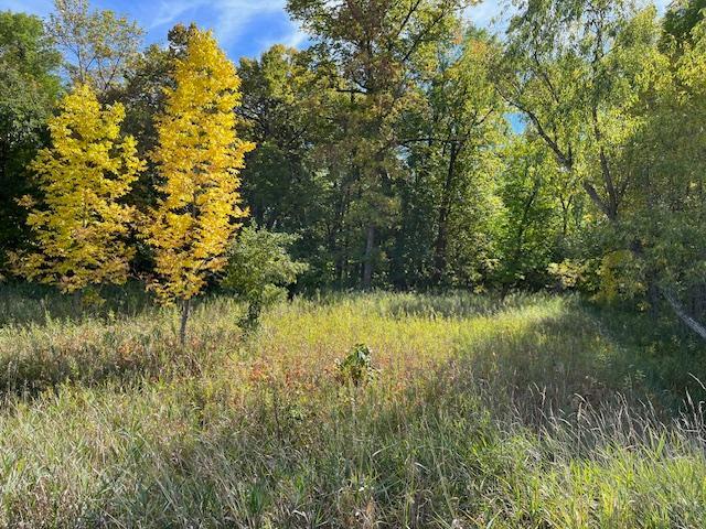 Xxxx Woodsmen Lane Property Photo 12