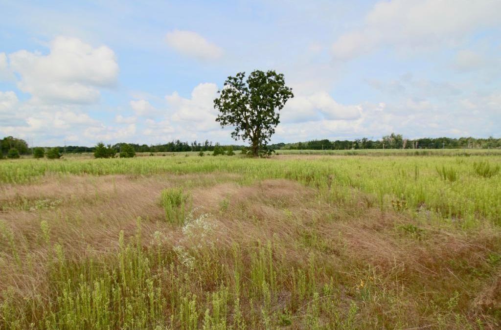 16707 Highway 371 Property Photo 23