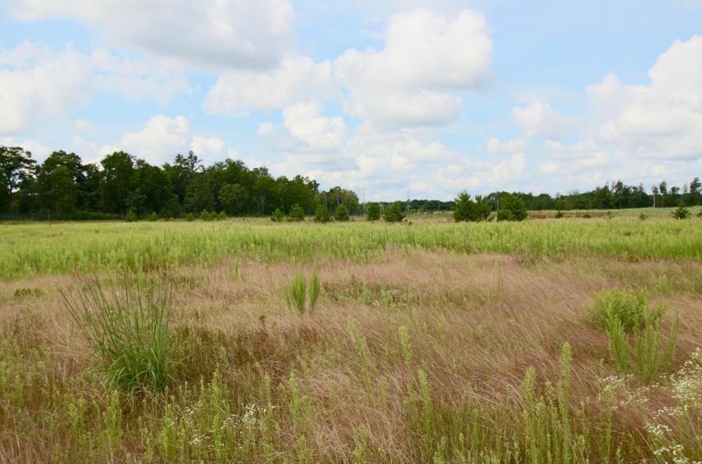 16707 Highway 371 Property Photo 24