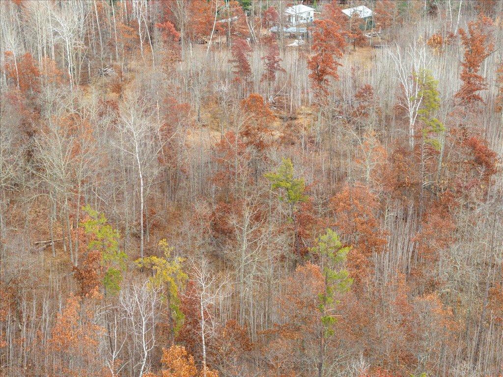 Tbd Niemi Cir. Property Photo 10