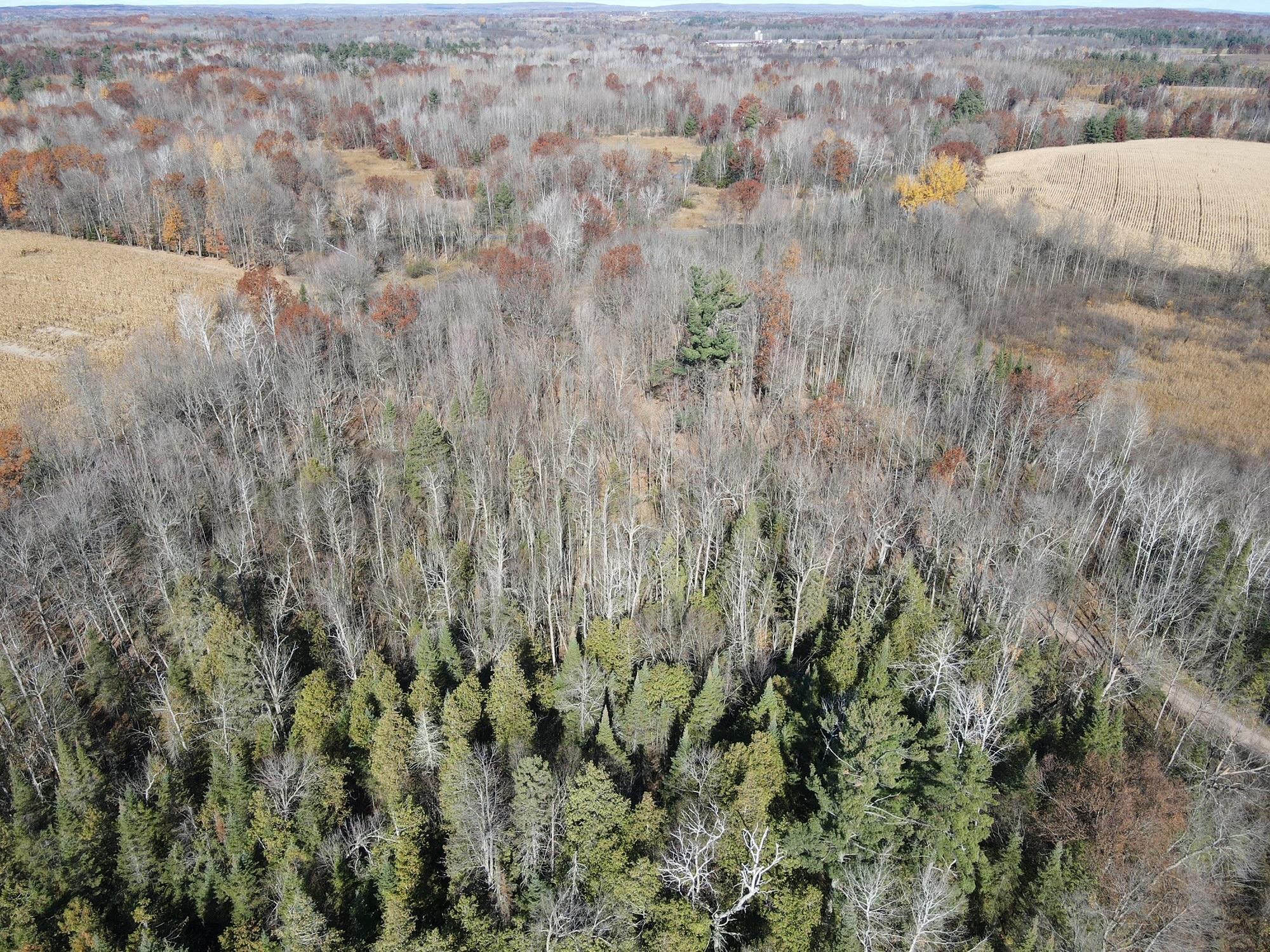 Tbd Willy Road Property Photo 3