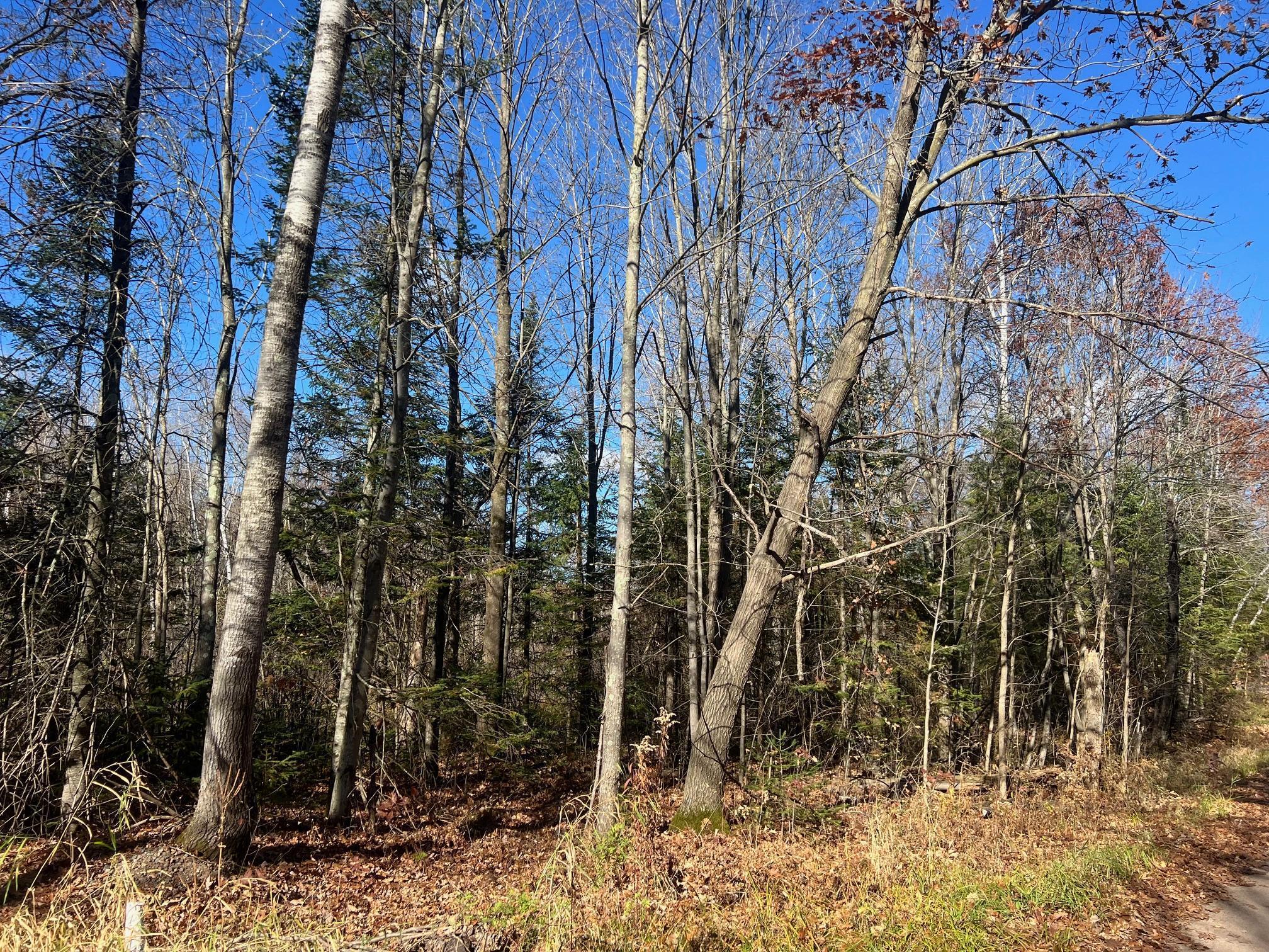 Tbd Willy Road Property Photo 5