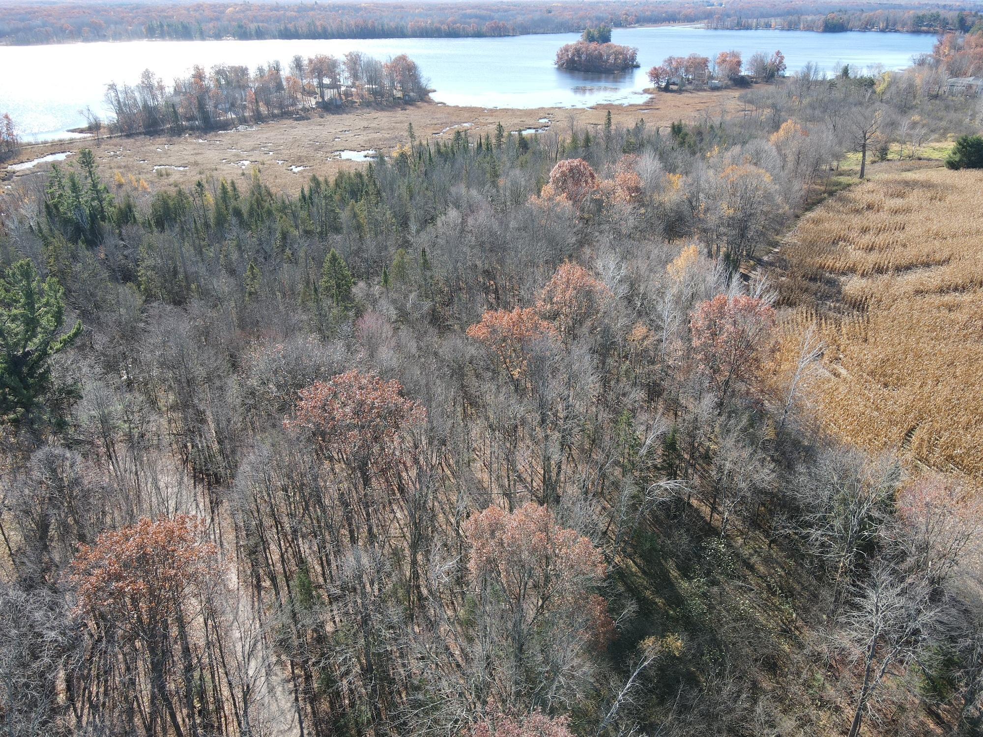 Tbd Willy Road Property Photo 6