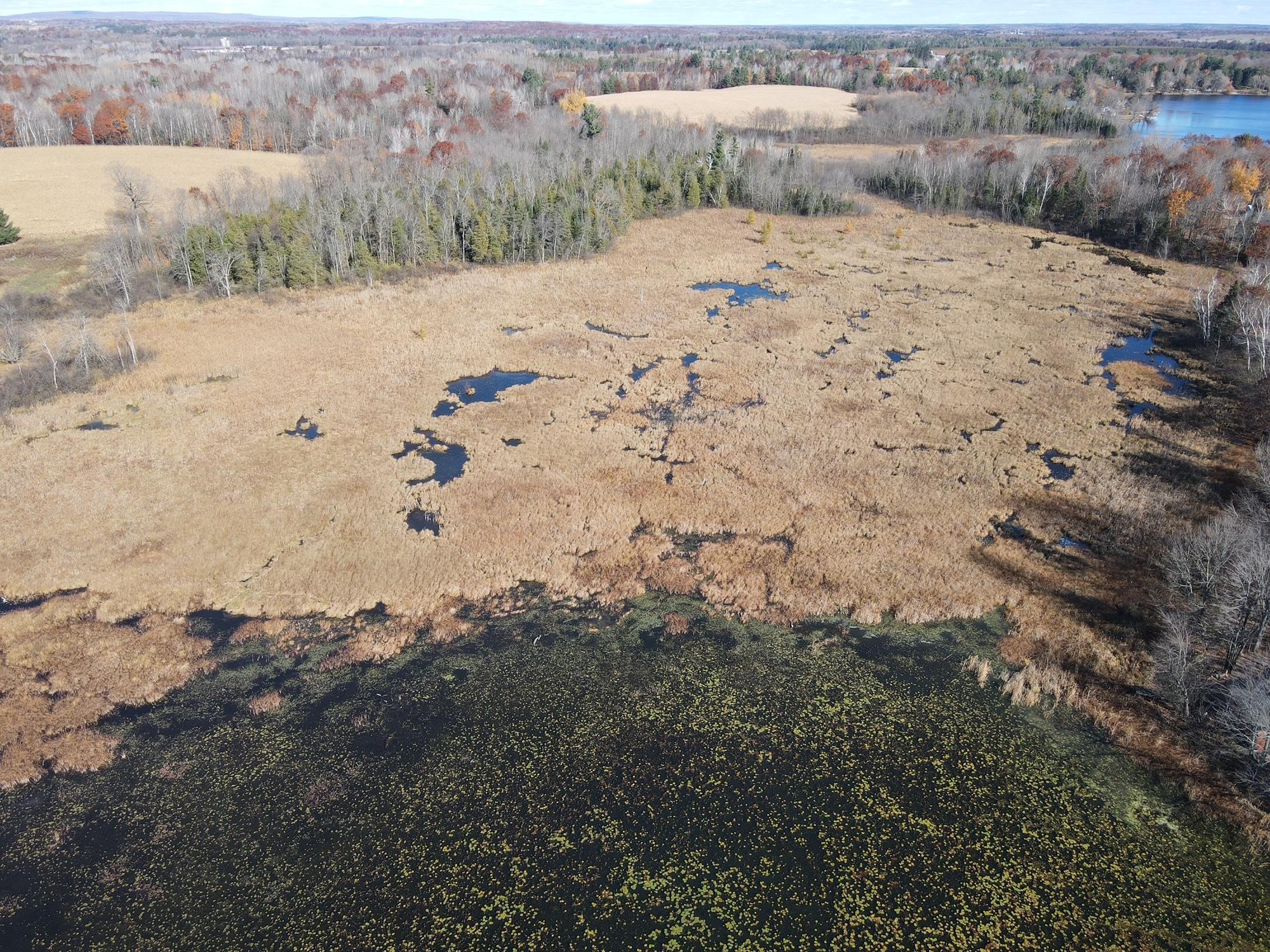 Tbd Willy Road Property Photo 7