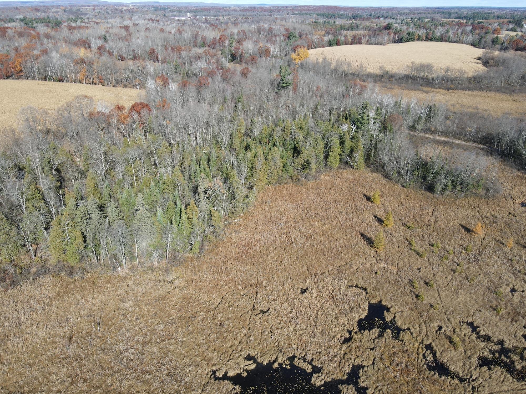 Tbd Willy Road Property Photo 8
