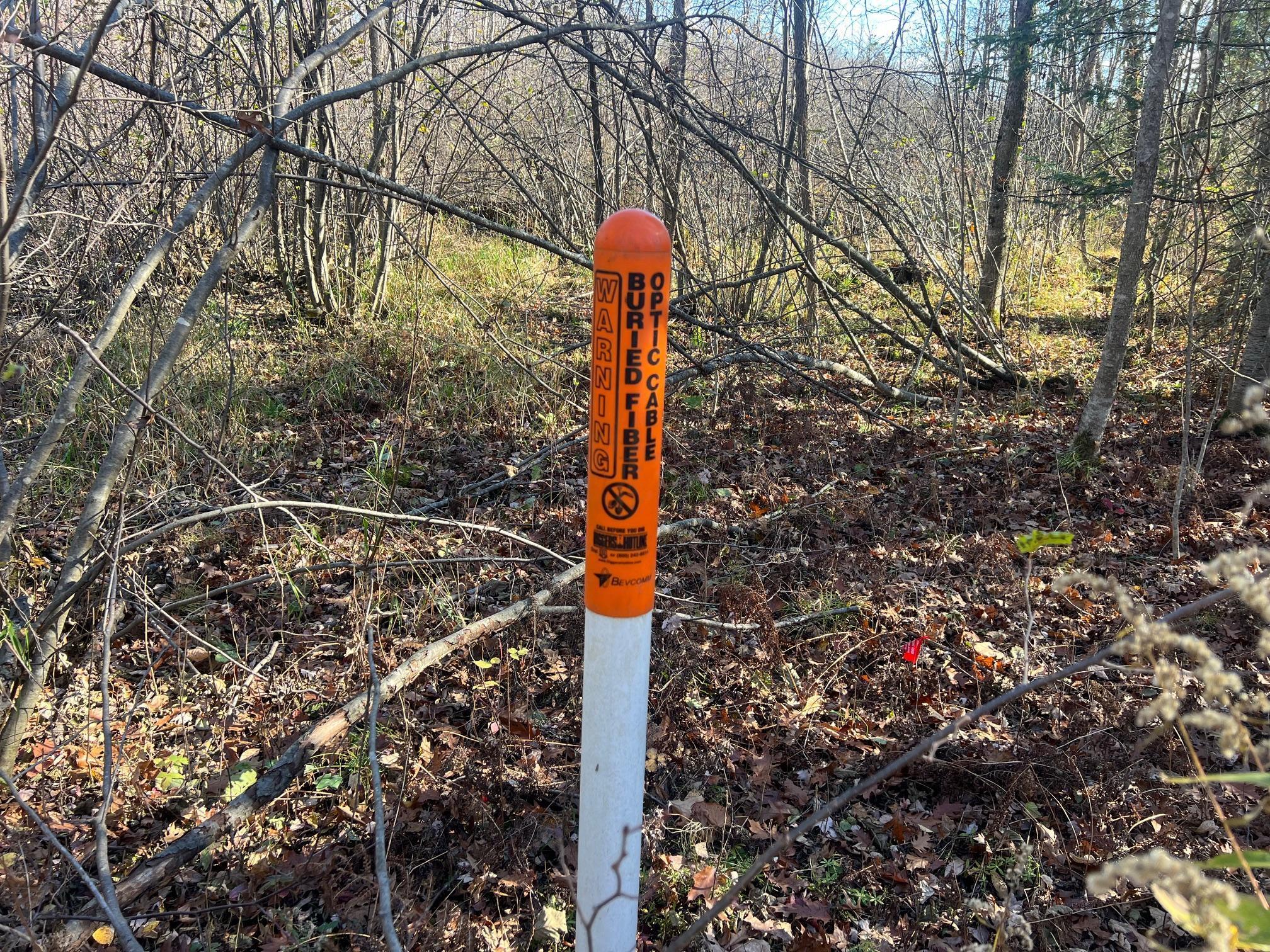 Tbd Willy Road Property Photo 9