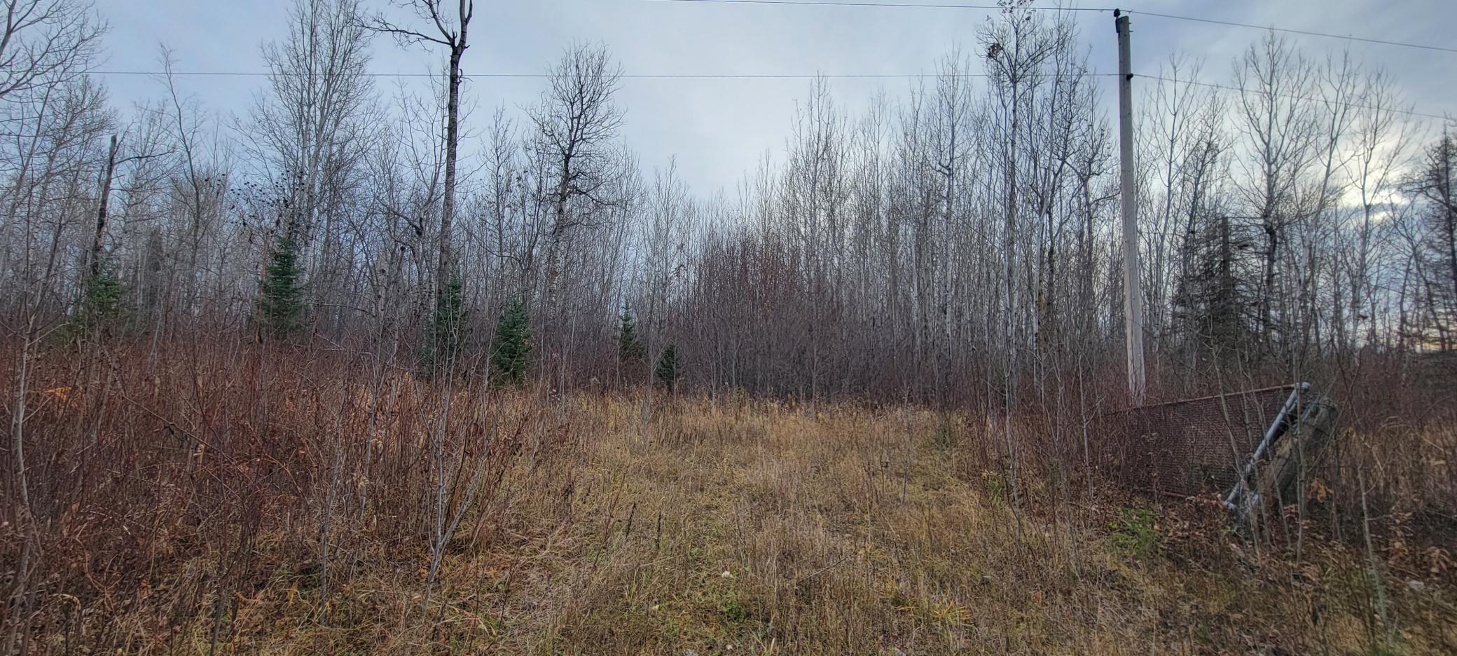 Tbd State Hwy 1 Property Photo 1