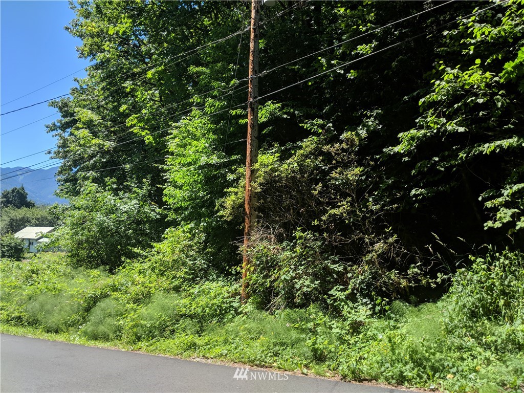 0 Xx S Dillard Avenue Property Photo