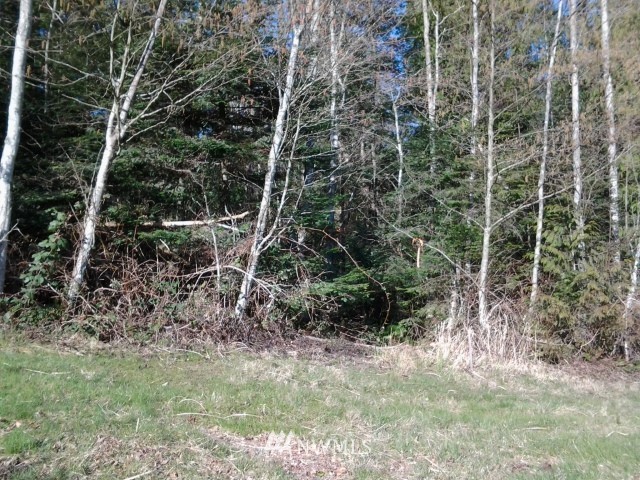 0 A Avenue Property Photo