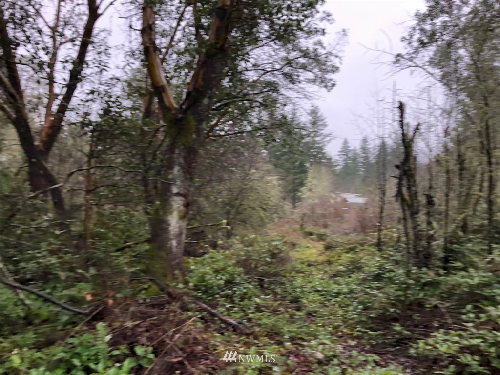 58 Xx W Werner Road Property Photo 3