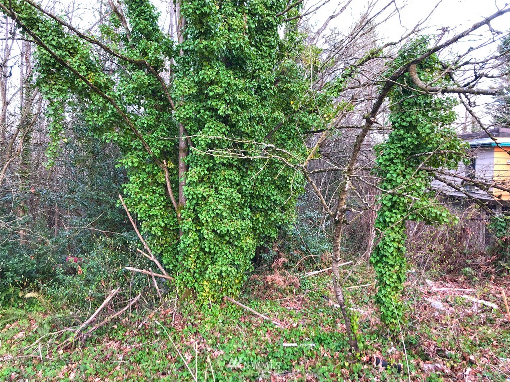 8422 Rainier Avenue Property Photo 5