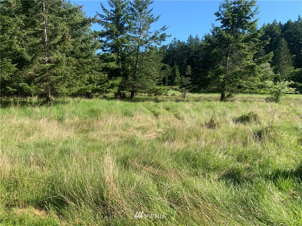 25 Stuart Island Park Tie Down Property Photo 1