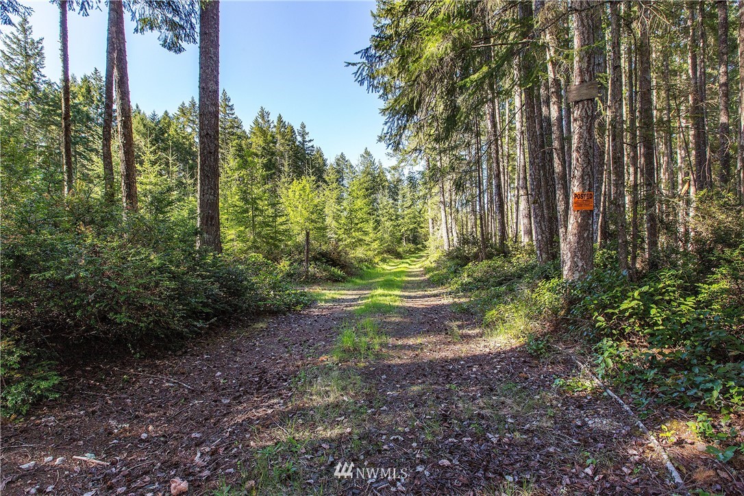 11910 Alpine Drive Property Photo 3
