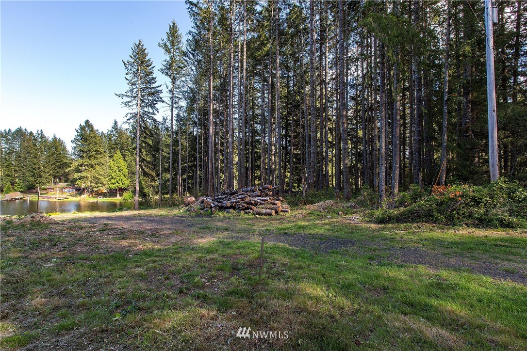 11910 Alpine Drive Property Photo 5