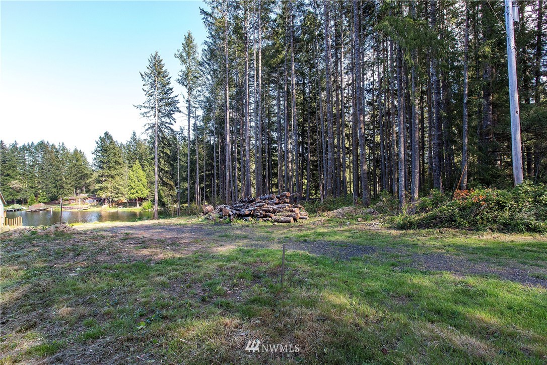11910 Alpine Drive Property Photo 14