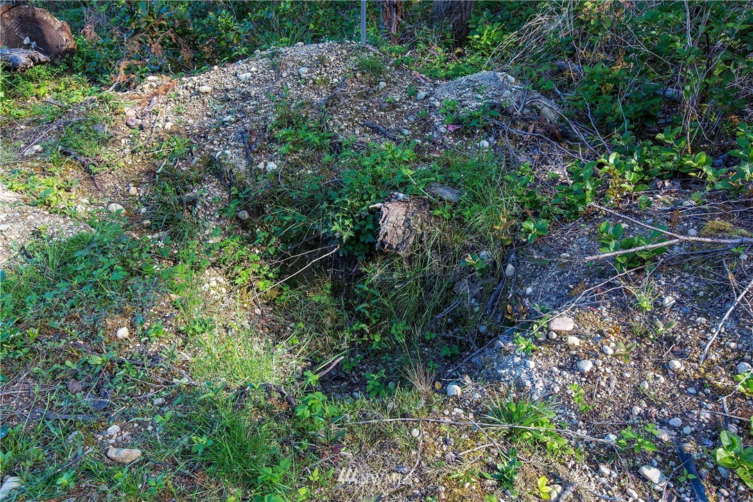 11910 Alpine Drive Property Photo 16