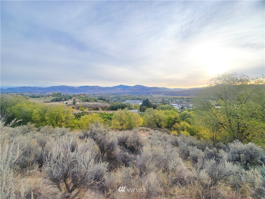 0 Tbd Panorama Point Property Photo 6