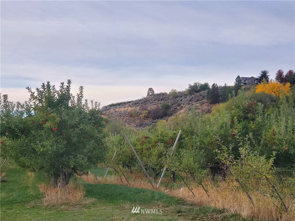 0 Tbd Panorama Point Property Photo 16
