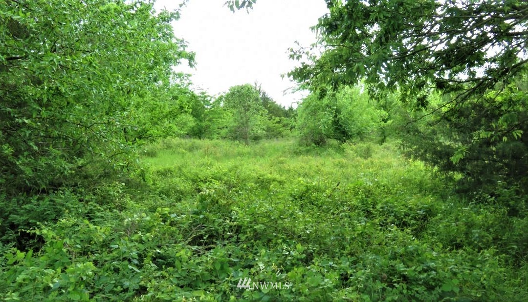 3930 Mile Hill Drive Property Photo