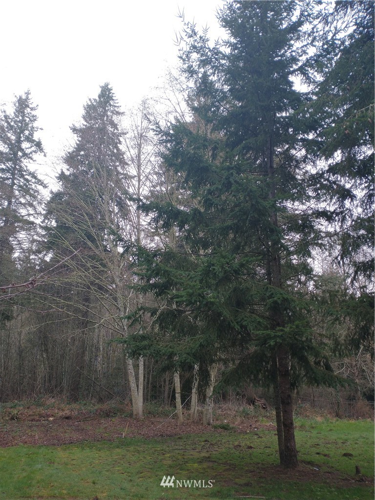 1535 Se Oregon Property Photo 6