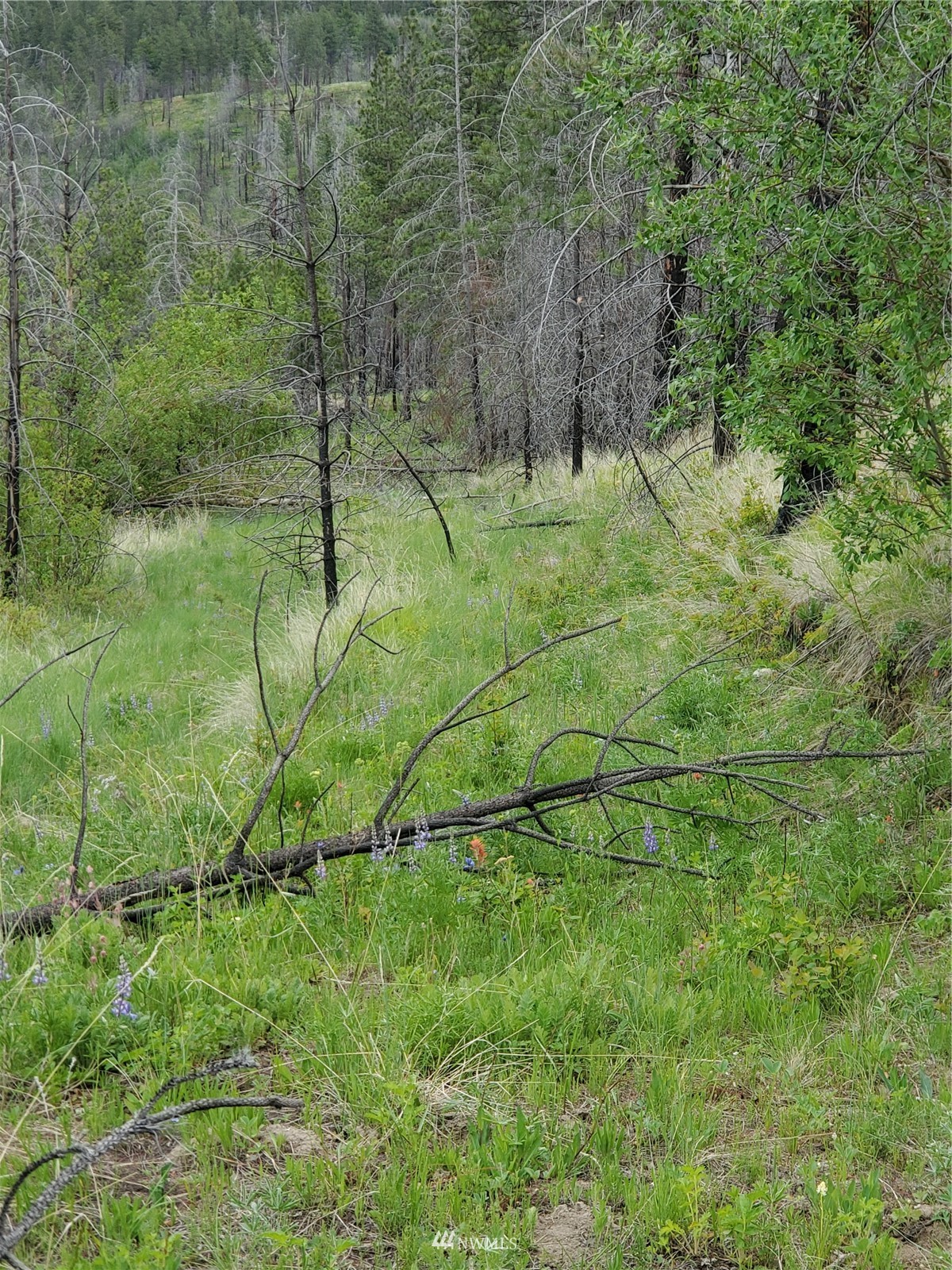 0 960x Knox Road Property Photo 2