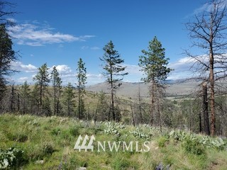 0 960x Knox Road Property Photo 11