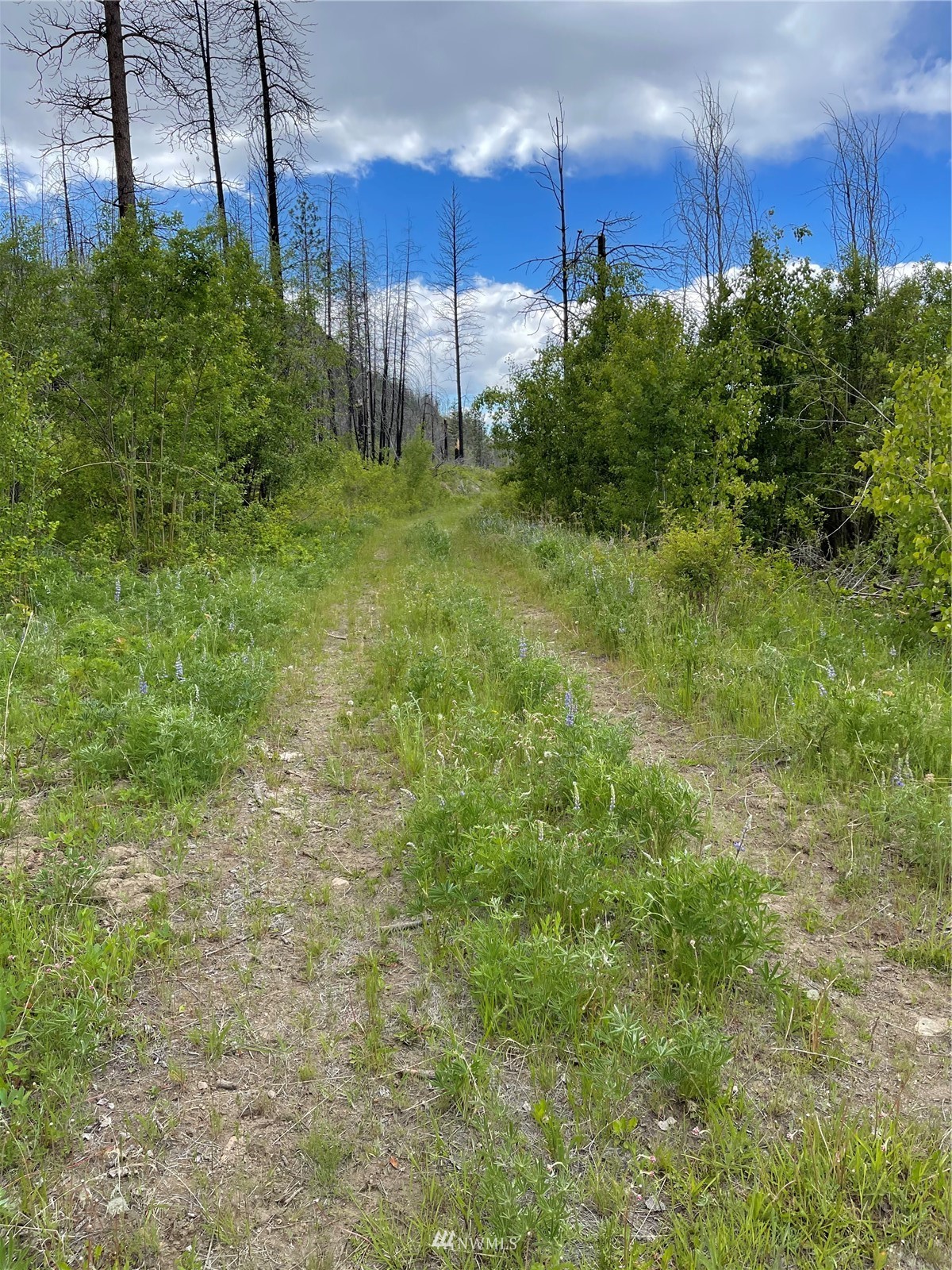 0 960x Knox Road Property Photo 12